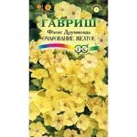 Семена цветов Флокс Друммонда очарование желтое
