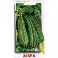 Кабачок Зебра Поиск 12 шт