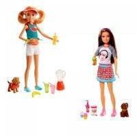 Игровой набор Mattel Barbie Сестры и щенки FHP61 Кукла Сестры и щенки