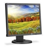 Монитор NEC MultiSync 19", черный EA193MI-BK