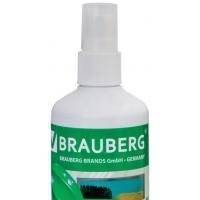 Спрей-очиститель BRAUBERG 510120 250 мл 510120