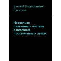 Несколько пальмовых листьев в весенних простуженных лужах 