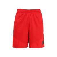 Шорты спортивные Nike M NK SHORT HBR