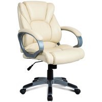 Кресло компьютерное Brabix Eldorado EX-504 Beige (531167)