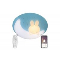 Потолочная люстра Natali Kovaltseva 100W LED LAMPS 81087 Led Lamps 81087