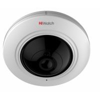 Видеокамера IP HiWatch DS-I351