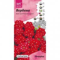 Семена Вербена Аст Люцифер 0,05 г 