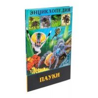 Энциклопедия. В мире знаний. Пауки 