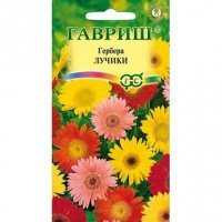Семена ГАВРИШ гербера лучики 0,05 г