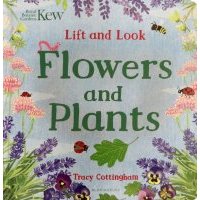 Lift and Look Flowers and Plants 