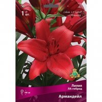 Луковицы лилия ла-гибрид армандейл 1 шт