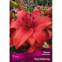 Луковицы лилия ред хайленд 1 шт
