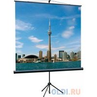 Экран переносной на штативе Lumien Eco View 150 x 150 см