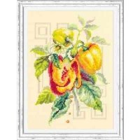 100-211 Перец 