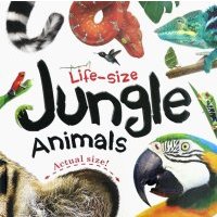 Life-size: Jungle Animals 