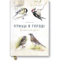 Птицы в городе