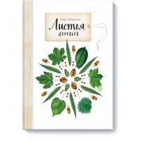 Мой гербарий. Листья деревьев 