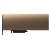 Модуль вычислительный PNY TCSA40M-PB 48GB GDDR6 384-bit Tesla A40