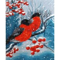 Рисование по номерам "Снегири", 40х50 см. (L026)