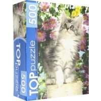 TOPpuzzle-500 "Котенок в цветах" (КБТП500-6798) 