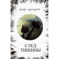 След тишины 