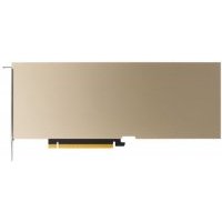 Модуль вычислительный PNY TCSA10MCEC-PB 24GB GDDR6 384bit A10 CEC
