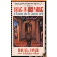 Being-in-dreaming 