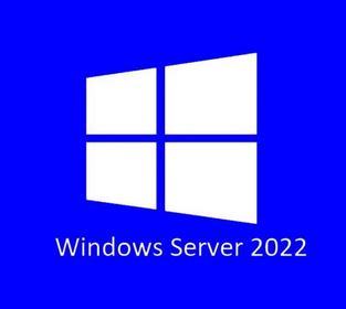 Microsoft Право на использование OEM Microsoft Windows Svr Std 2022 Russian 1pkDSP OEI 2Cr NoMedia/NoKey(POSOnly)AddLic P73-08432