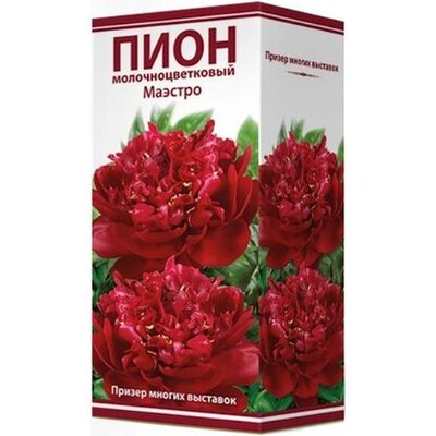ПОИСК Луковица пиона молочноцветкового ПОИСК Маэстро 1 шт 