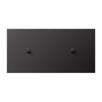 Jung AL12-200DR01 JUNG LS1912 Dark Центральная плата, 2 поста, для горизонтальной установки, тумблеры 1+1,цилиндр; метал. исполнение AL12-200DR01
