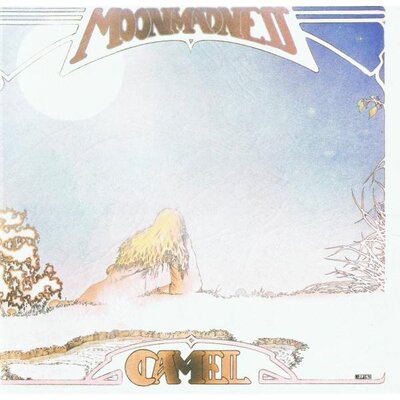 Universal Music Виниловая пластинка Camel, Moonmadness (0602577828560) Universal Music 