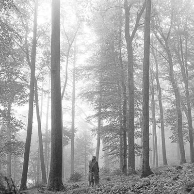 Republic Виниловая Пластинка Taylor Swift Folklore (0602435034881) Republic Taylor Swift - folklore ("in the trees" edition) 