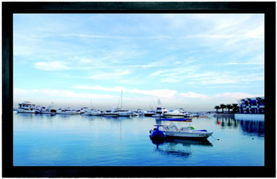 Classic Solution Проекционный экран Classic Solution Premier Draco 404x226 (16:9) (F 404х226/9 PW-PD/S) 2574130