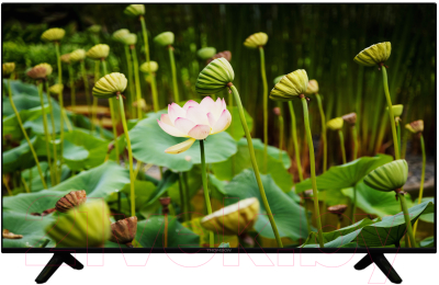 Thomson Телевизор Thomson T55USL7010 
