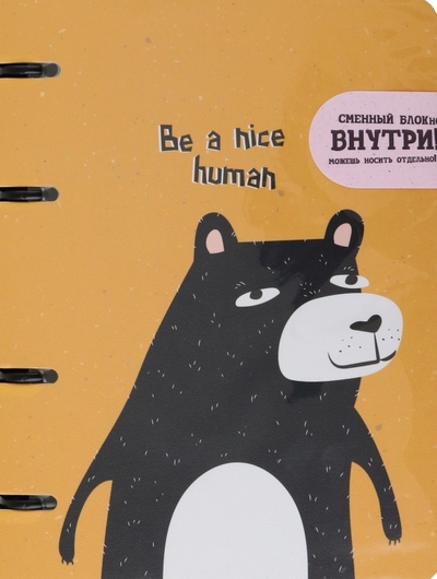 BeSmart Комплект. Тетрадь и блокнот Silly. Медведь, 80 + 80 листов, клетка BeSmart 
