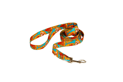 Dono Della Dono Della поводок нейлоновый "Бирюзовый пикник" (5 м.)