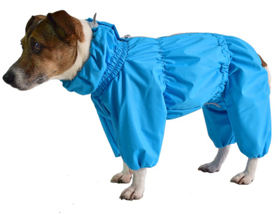 JackyDog JackyDog дождевик с высоким воротником для собак мелких пород (р.14, Мальчик) 