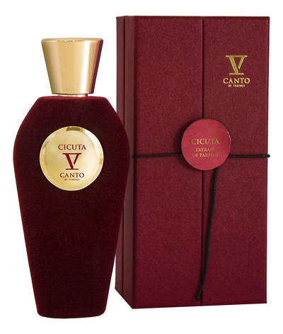 V Canto V Canto духи 100мл Cicuta 