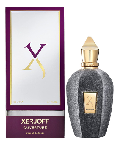 Xerjoff Xerjoff парфюмерная вода 100мл Ouverture 
