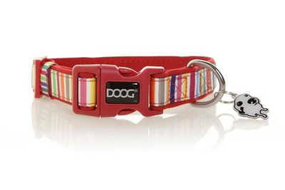 DOOG DOOG Ошейник для собак Scooby мультиколор 16-25см XS (Австралия) COLMCS-XS