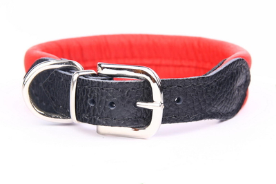 ZOOLESZCZ ZOOLESZCZ Ошейник для собак "Soft", красный, 55х3см 644/Red