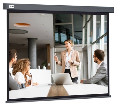 CACTUS Экран рулонный Cactus Wallscreen CS-PSW-127X127-SG CS-PSW-127X127-SG