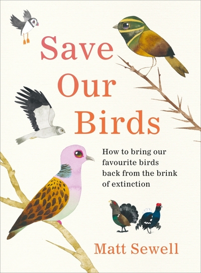 Книга: Ebury Press Save Our Birds. How to bring our favourite birds back from the brink of extinction 9781529107944