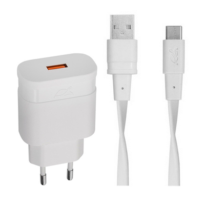 RivaCase Сетевое зарядное устройство RIVACASE FC 18W с кабелем Type-С (PS4110 WD3) 