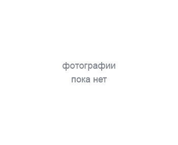 Ricoh Девелопер Ricoh Developer Unit C D1773026