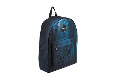 ErichKrause Рюкзак мужской ErichKrause dark forest Рюкзак EasyLine Dark Forest 17 л 51747