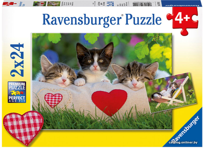 Ravensburger Ravensburger Пазл Сонные котята (2х24 элемента) R07801