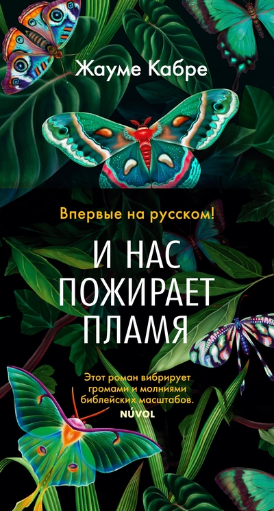 Книга: Иностранка И нас пожирает пламя (Кабре Жауме) 978-5-389-22890-0