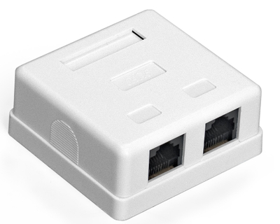 Exegate Розетка Exegate EX292845RUS внешняя двойная, RJ-45 кат.6 UTP Krone/110 SM2-RJ45-C6 EX292845RUS