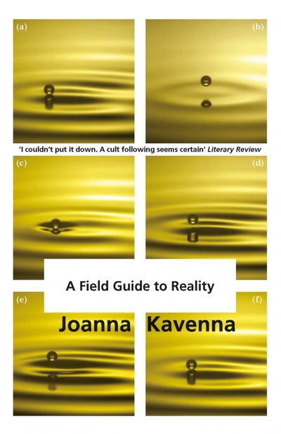 Книга: Riverrun A Field Guide to Reality (Kavenna Joanna) 9781780872322